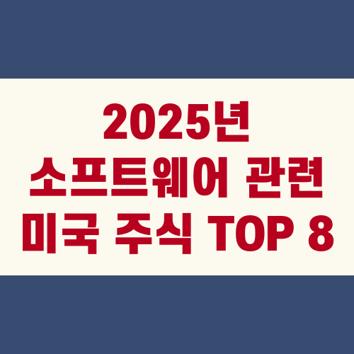 2025년 소프트웨어 관련 미국 주식 TOP 8